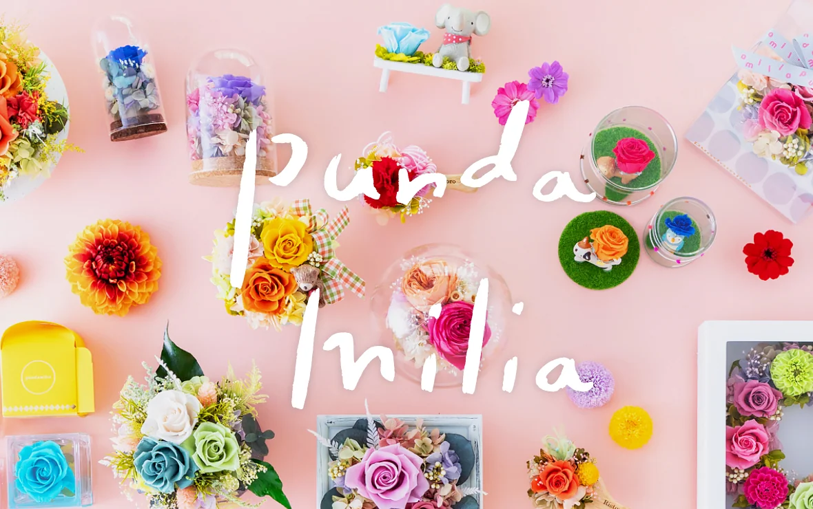 pundamilia